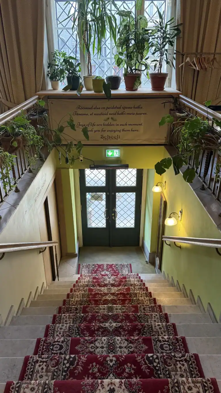 Scheeli restoran Tallinna vanalinnas