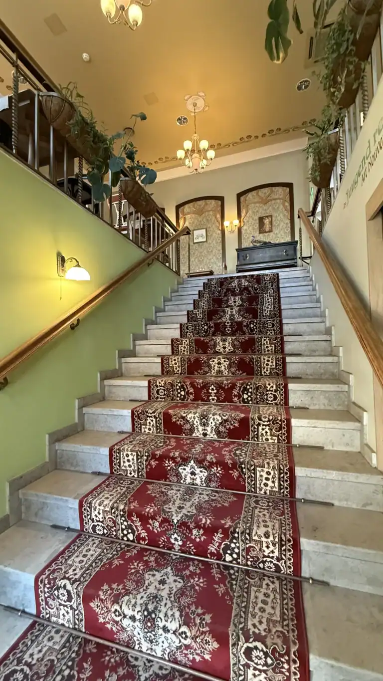 Scheeli restoran Tallinna vanalinnas