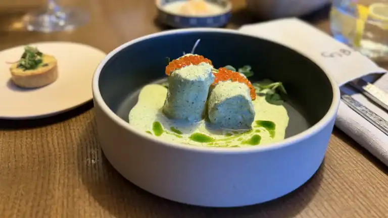 Gobi restaurant Tallinn Rotermann center. appetizer