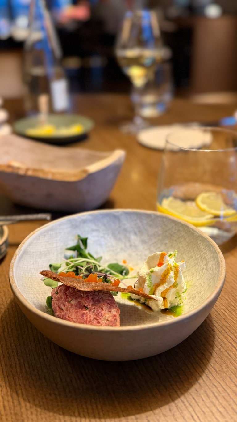Gobi restaurant Tallinn Rotermann center, tartare