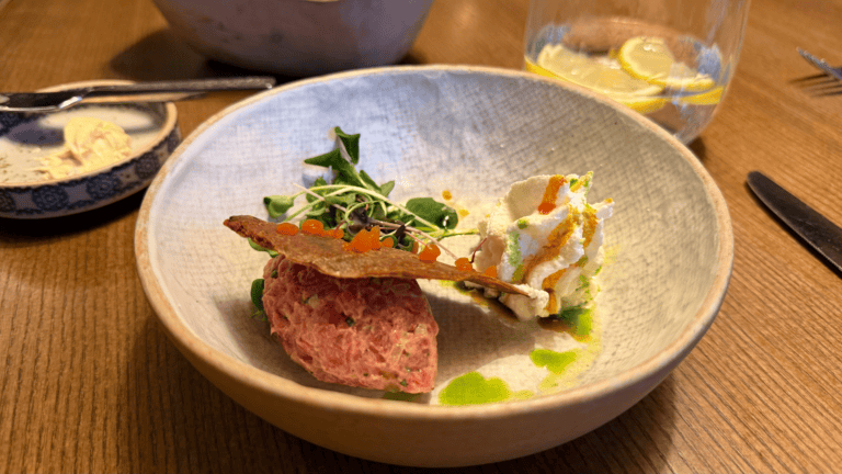 Gobi restaurant Tallinn Rotermann center, tartare